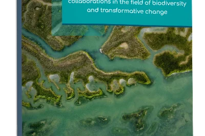 D5.8_Mapping Transformative change_Cover