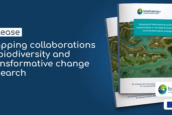 IMG_2024-11-18_Mapping Transformative change_800x400