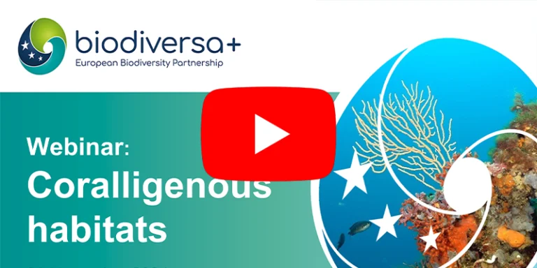 Webinar on coralligenous habitats