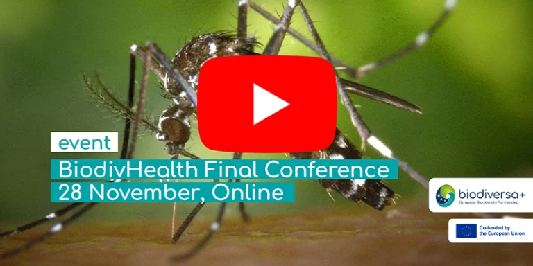 IMG_2024-11-29_BiodivHealth rewatch-2_800x400