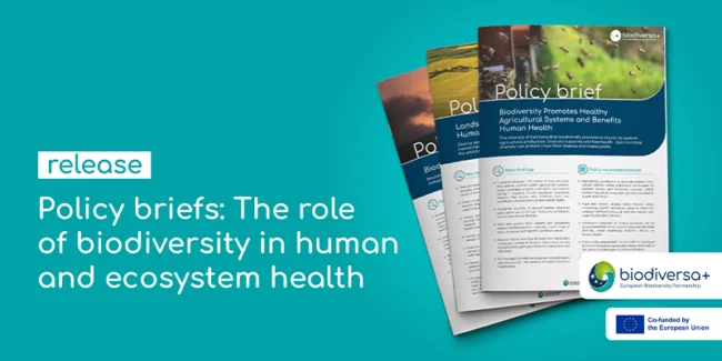 BiodivHealth policy briefs