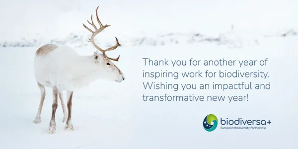 Season's greetings