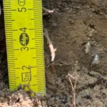 pilot-Soil-thumb