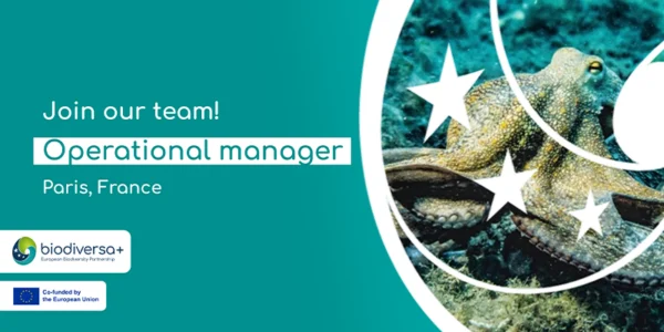 Job: Operational Manager