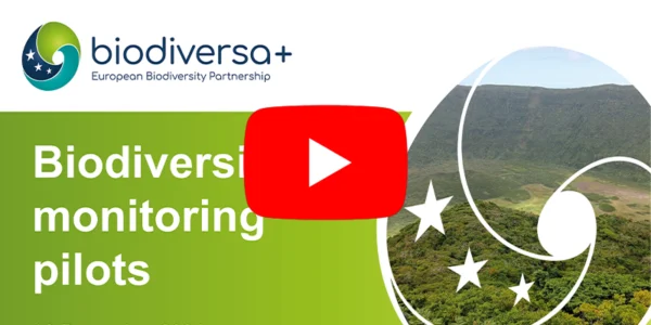 Info session on monitoring pilots