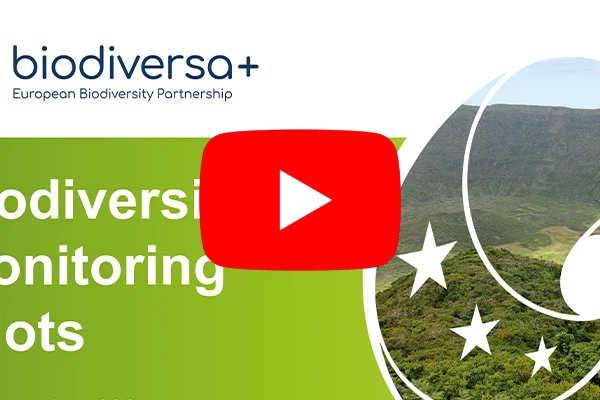 Info session on monitoring pilots