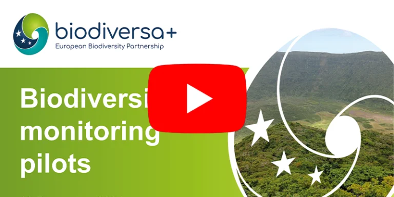 Info session on monitoring pilots