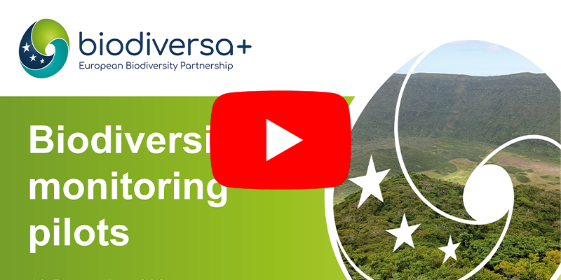 Info session on monitoring pilots