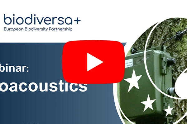 webinar: bioacoustics