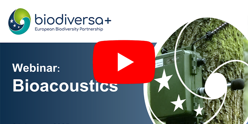 webinar: bioacoustics
