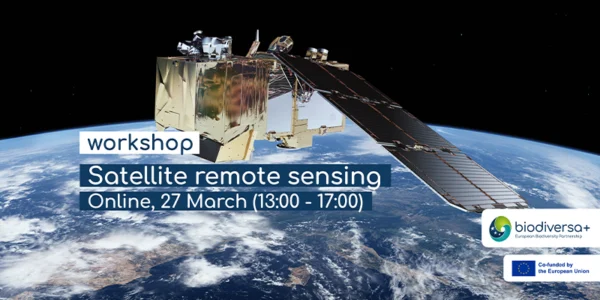 Workshop on satellite remote sensing