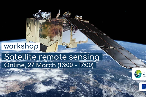 Workshop on satellite remote sensing