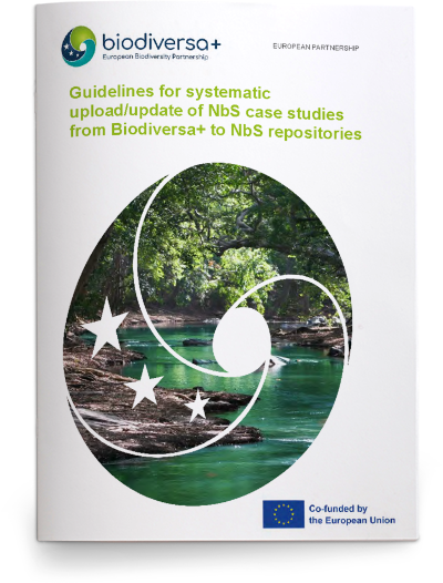 Guidelines for NbS repositories