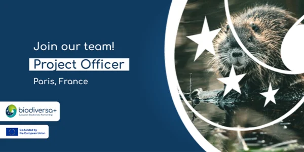 Job: WP3 officer