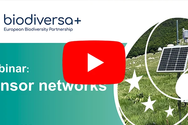 Webinar on sensors network