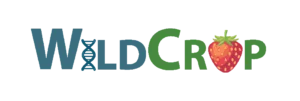 BiodivNBS_Wildcrop-logo