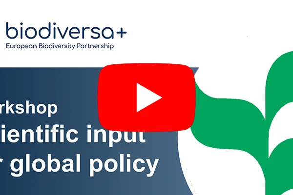 IMG_2025-04-17_BiodivNBS-CBD-workshop_800x400