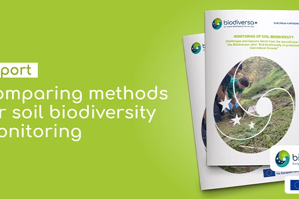 IMG_2025-04-22_Soil-pilot-year2_800x400