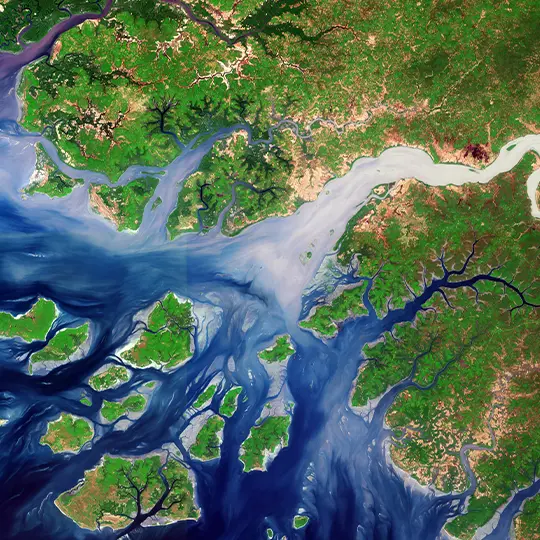 Geba River estuary