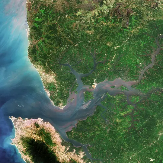 Sierra Leone estuary