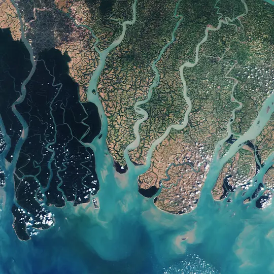 Sundarbans