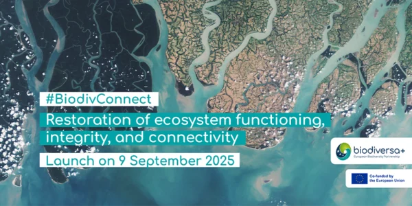 BiodivConnect pre-launch