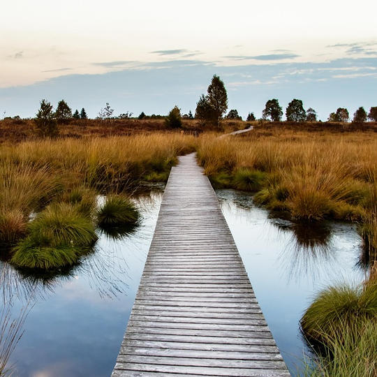 Wooden dock on moorland