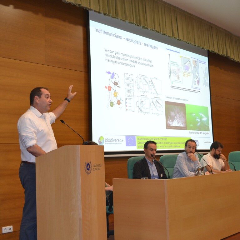 BiodivRestore_13