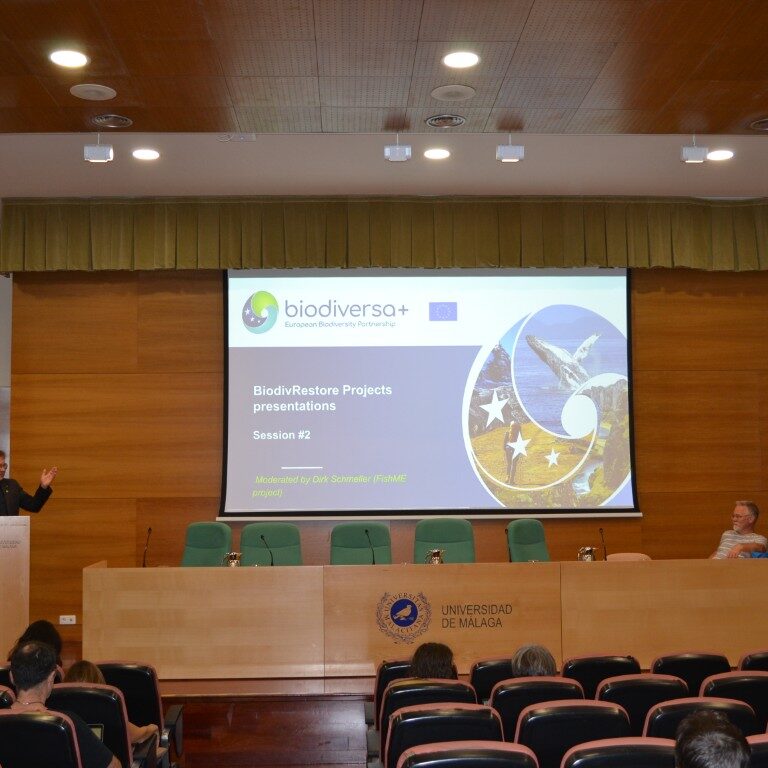 BiodivRestore_35