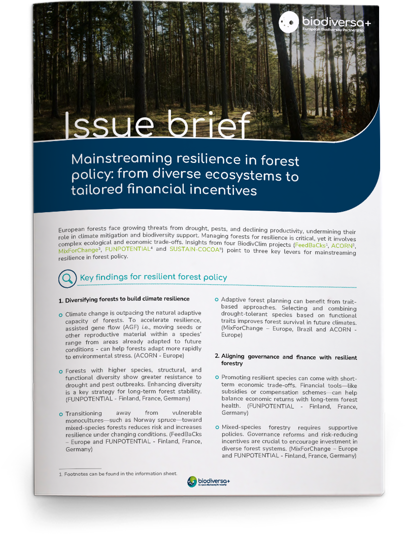 Issue Brief Forest