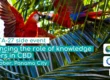 SBSSTA-27 side event: enhancing the role of knowledge holders in CBD