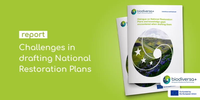 Report on challenges in drafting National Restoration Plans