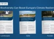 Issue Briefs BiodivClim - Landscapes, Soil and Forests