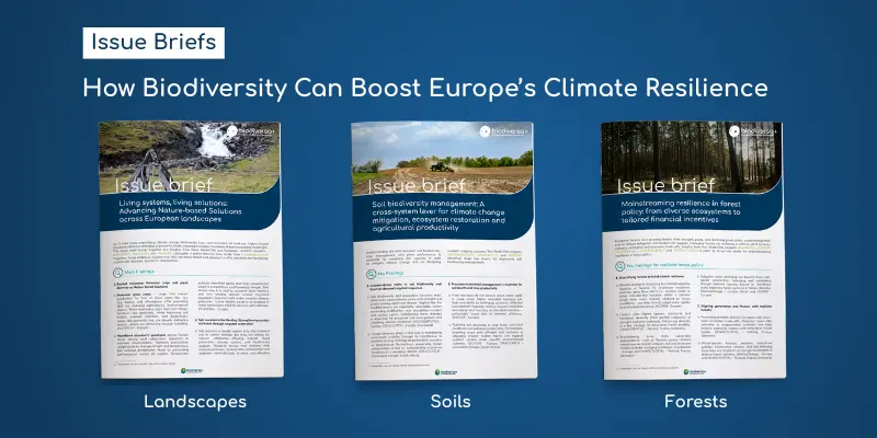 Issue Briefs BiodivClim - Landscapes, Soil and Forests