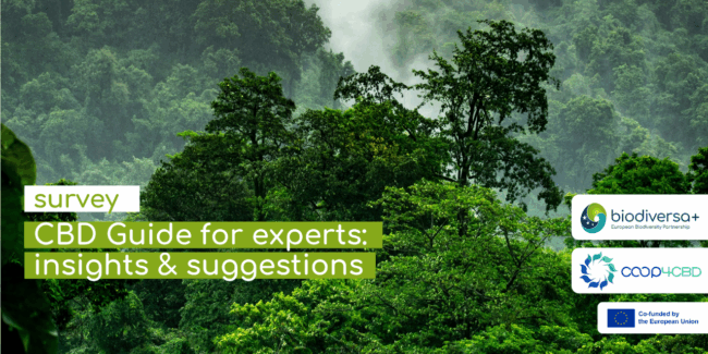 CBD guide survey