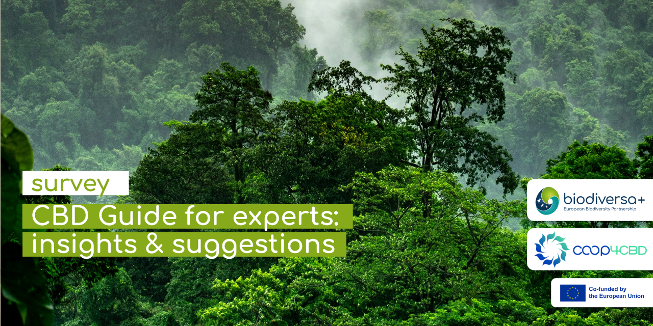 CBD guide survey