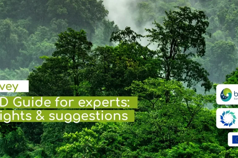 Survey CBD guide for experts