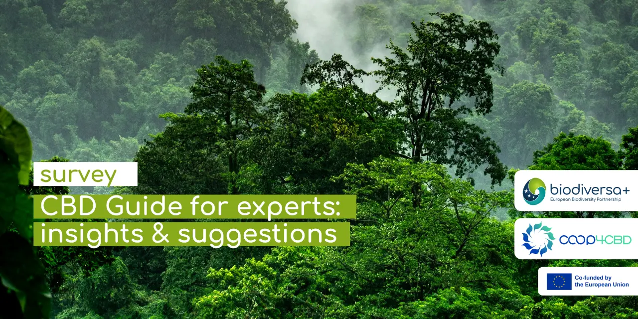 Survey CBD guide for experts
