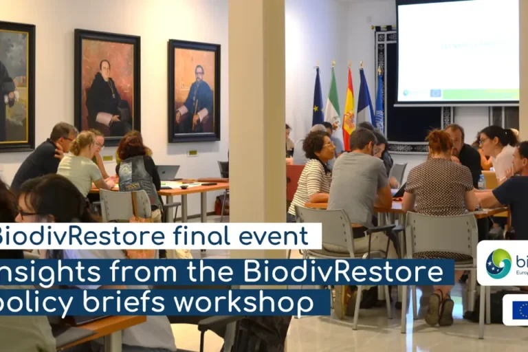 BiodivRestore Workshop