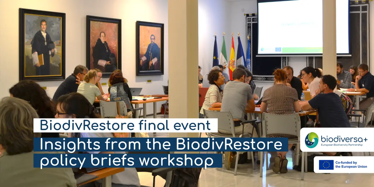 BiodivRestore Workshop