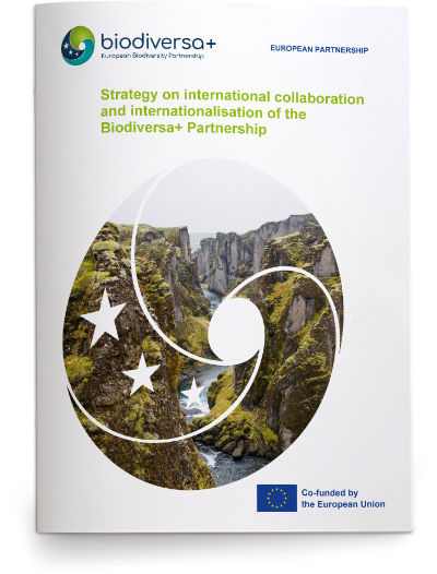 D5.7_Internationalisation_cover