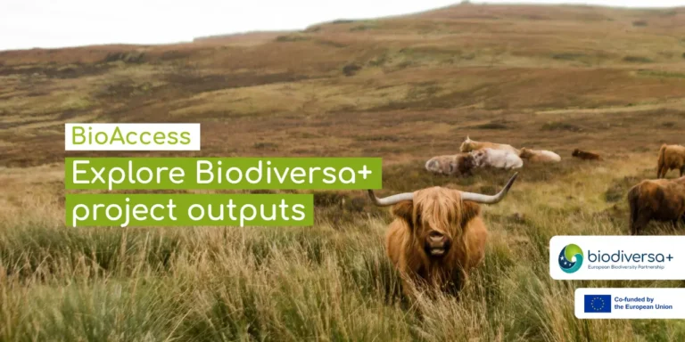 BioAccess, Photo by Skull Kat on Unsplash