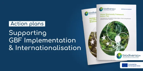 Action plans internationalisation