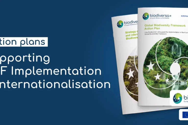 Action plans internationalisation