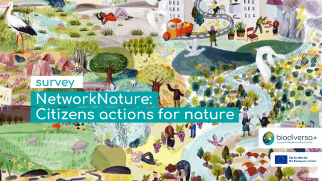 Network Nature Global Survey