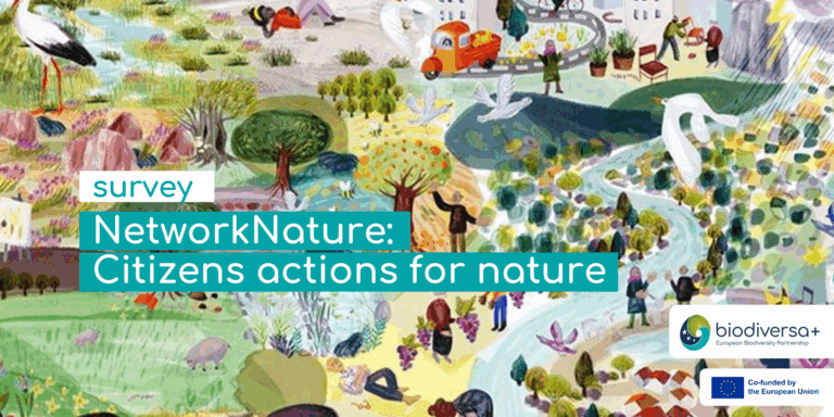 Network Nature Global Survey