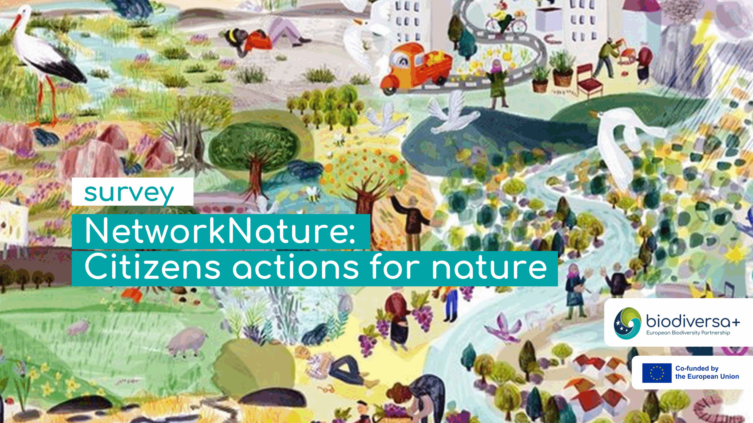 NetworkNature survey Network Nature Global Survey
