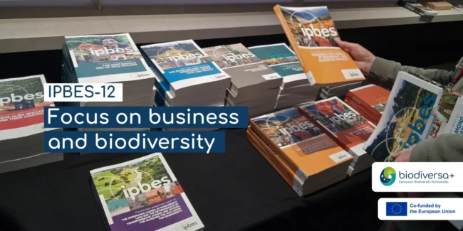 IPBES-12 Focus on business and biodiversity