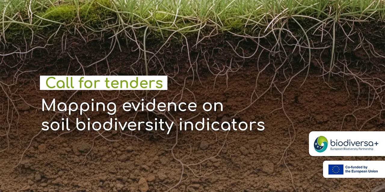 Call for tenders: Knowledge synthesis on soil biodiversity indicators