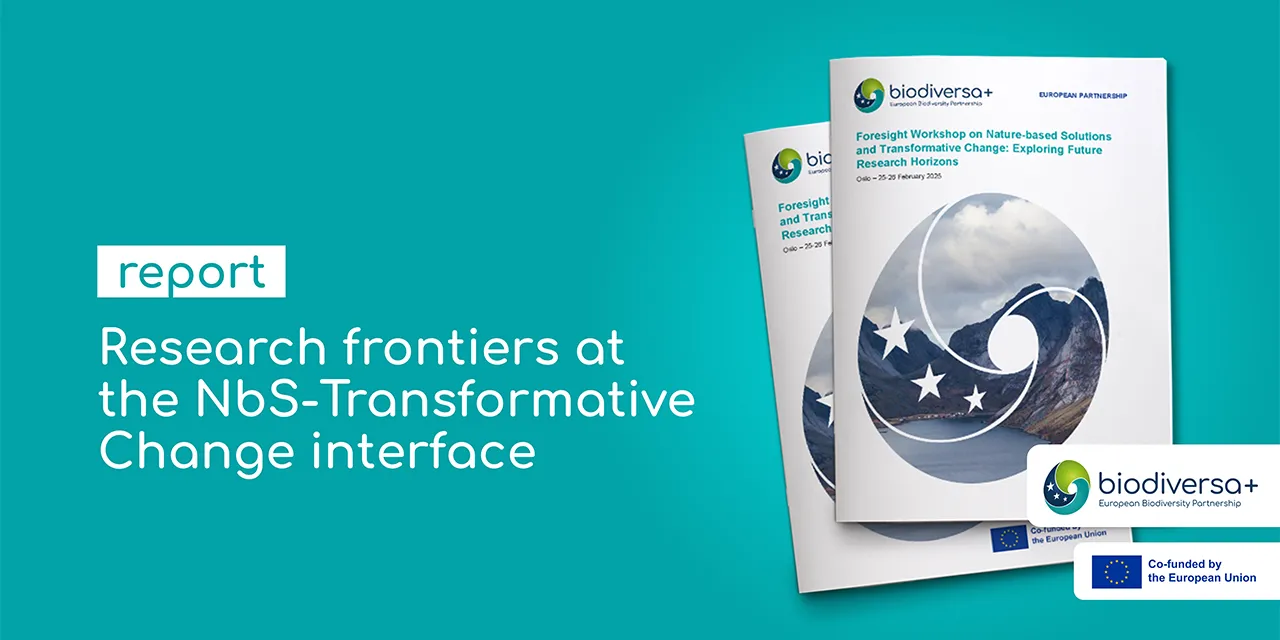 IMG_2026-02-27_Oslo-foresight-workshop-report_1280x640